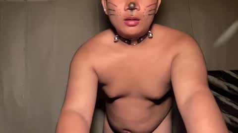 DA online show from April 8, 2026, 3:56 pm