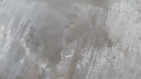 Snapshot of urdreamboy_clarin chatting on April 21, 2026, 12:44 pm urdreamboy_clarin online show from April 21, 2026, 12:44 pm