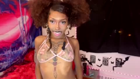 Dolly online show from January 17, 2026, 5:01 am