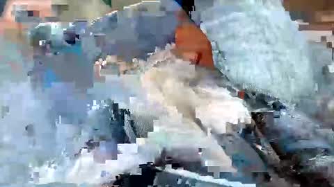 usabound online show from October 16, 2025, 12:39 pm