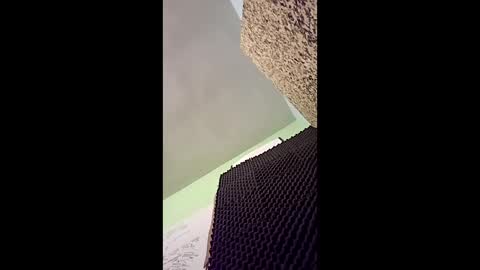 Snapshot of v3403454 chatting on December 16, 2025, 11:54 pm v3403454 online show from December 16, 2025, 11:54 pm