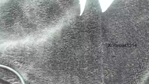 Vaiolet1314 online show from January 26, 2025, 3:58 pm