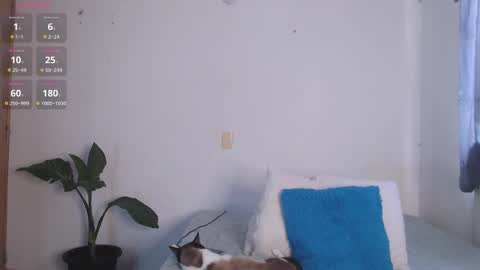 Snapshot of valen_thompson chatting on April 11, 2026, 1:04 pm IG-valen mendoza99 twitter valenthompson99 online show from April 11, 2026, 1:04 pm