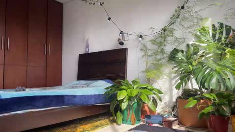   Valentin  independent Cam Boy     online show from February 8, 2026, 1:47 pm