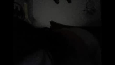 Snapshot of valeria06 chatting on February 15, 2025, 6:55 am Valeria online show from February 15, 2025, 6:55 am