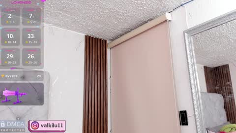 Snapshot of valkilu11 chatting on January 18, 2025, 2:14 am valkilu11 online show from January 18, 2025, 2:14 am