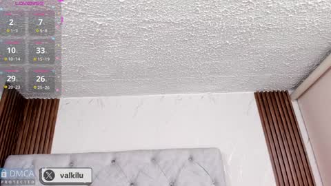 Snapshot of valkilu11 chatting on January 22, 2025, 12:06 am valkilu11 online show from January 22, 2025, 12:06 am