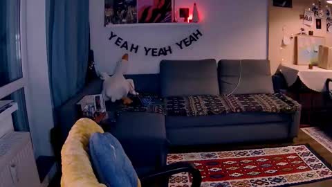 Snapshot of valorant_girl chatting on January 17, 2026, 3:28 pm Little Devil online show from January 17, 2026, 3:28 pm