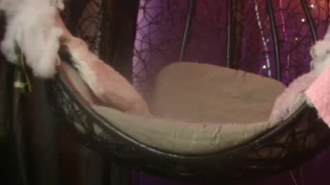 Vanelope online show from November 28, 2025, 7:16 pm