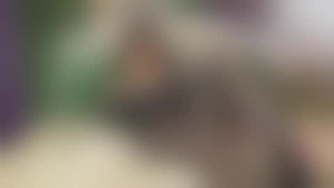 Vanessa online show from September 25, 2025, 6:06 am