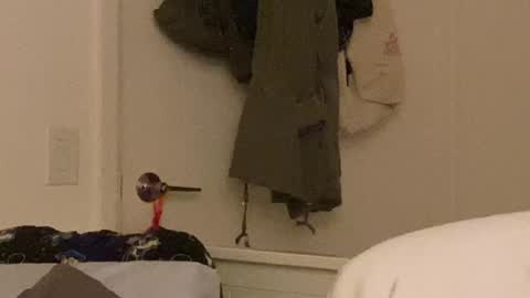 Vanessa  online show from December 24, 2024, 10:33 am