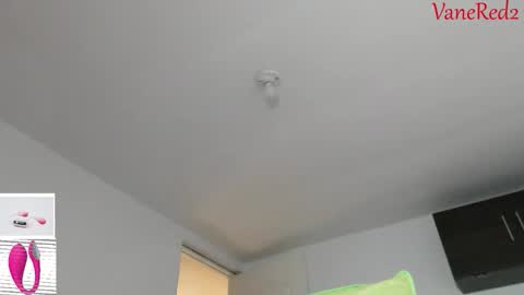 Snapshot of vanessared2 chatting on February 15, 2026, 11:45 pm Vanesared2 online show from February 15, 2026, 11:45 pm