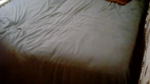 Snapshot of vankmen69 chatting on October 25, 2025, 4:31 am Usagi online show from October 25, 2025, 4:31 am