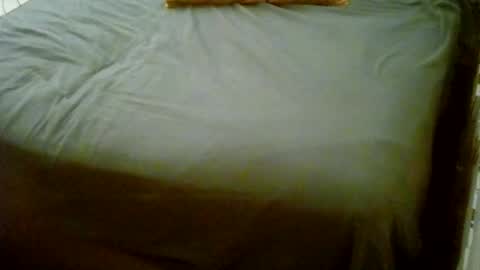 Snapshot of vankmen69 chatting on January 18, 2026, 12:36 am Usagi online show from January 18, 2026, 12:36 am