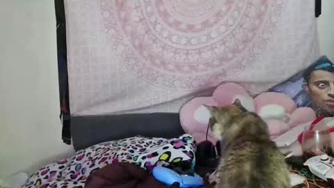 Veronica Lehane online show from December 10, 2024, 7:05 am