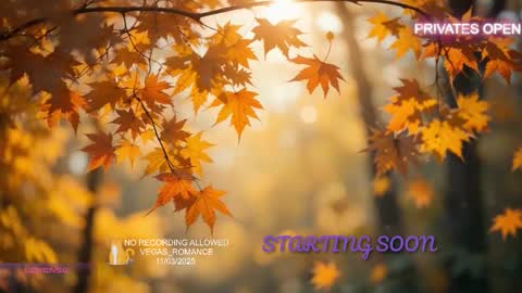 vegas_romance online show from November 3, 2025, 11:59 pm