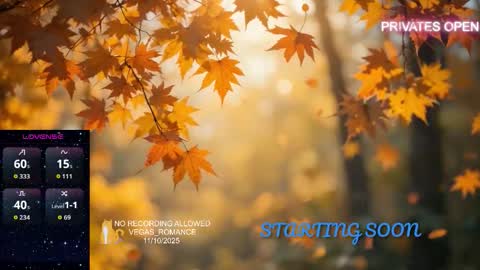 vegas_romance online show from November 11, 2025, 12:43 am