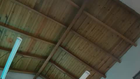 VENUS online show from November 29, 2025, 11:57 am