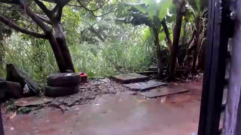 venus ... zeus sheer  online show from October 27, 2025, 1:37 pm