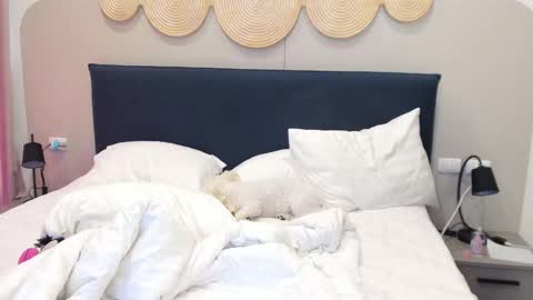 Violetta  online show from December 2, 2025, 3:23 am