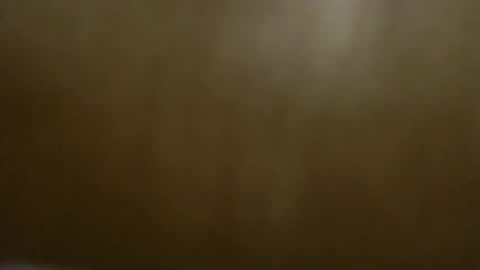 Snapshot of vera_octopus chatting on December 6, 2024, 2:38 pm CHLOE the C L are silent online show from December 6, 2024, 2:38 pm