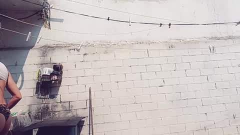 Vero Alva online show from January 30, 2025, 5:17 pm