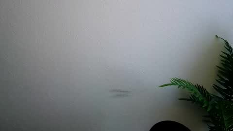 Snapshot of veryveryshygirl chatting on February 5, 2026, 9:14 am Ana online show from February 5, 2026, 9:14 am