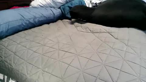 Snapshot of vexnew chatting on November 4, 2025, 6:51 pm Vexnew online show from November 4, 2025, 6:51 pm