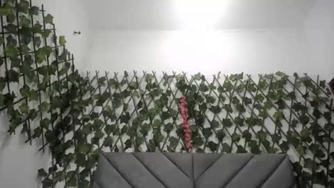 Frida online show from November 26, 2025, 12:00 am