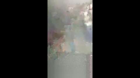 vhornynige69 online show from February 7, 2026, 12:31 pm