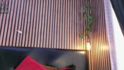 victorira online show from October 21, 2025, 7:25 pm