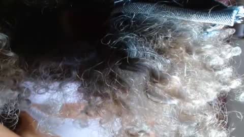 VICKY online show from February 14, 2025, 3:54 am