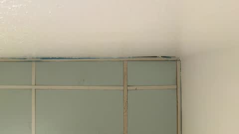 Snapshot of victoryd007 chatting on December 21, 2025, 4:52 am victoryd007 online show from December 21, 2025, 4:52 am