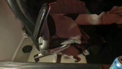 Viewsofpleasures online show from February 16, 2025, 9:37 am