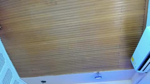 Snapshot of viiolett_lee chatting on October 15, 2025, 8:53 pm Viiolett online show from October 15, 2025, 8:53 pm