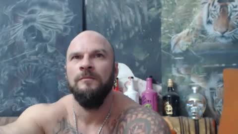 viking online show from October 16, 2025, 7:04 pm