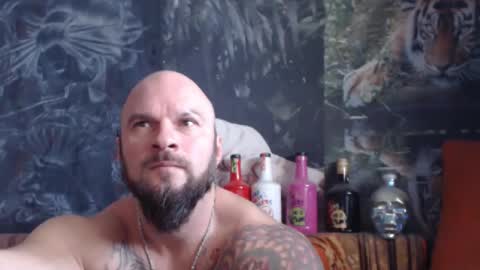 viking online show from November 20, 2025, 7:19 am