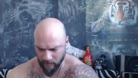 viking online show from April 12, 2026, 6:07 am