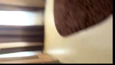 viktoriya_kreyzi online show from May 31, 2026, 3:41 pm