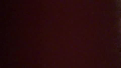 Snapshot of vilnus0 chatting on January 15, 2026, 12:15 am vilnus0 online show from January 15, 2026, 12:15 am