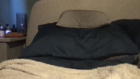 Vinny online show from March 3, 2025, 11:00 am