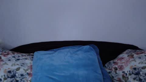 Snapshot of vitalina_freedom chatting on January 8, 2025, 3:50 pm Vitalina online show from January 8, 2025, 3:50 pm