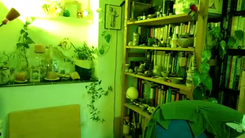 Snapshot of vivid_ether chatting on March 2, 2025, 4:10 pm Viv online show from March 2, 2025, 4:10 pm