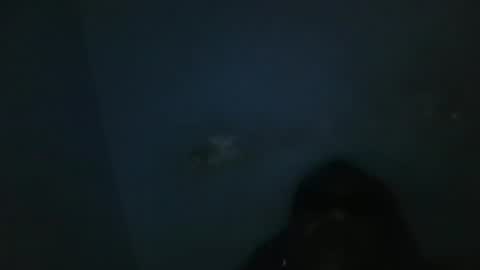 vivitransbahia22cm online show from February 12, 2025, 10:24 am