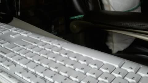 vnpg92 online show from December 13, 2025, 8:14 pm