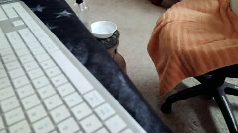 Snapshot of vnpg92 chatting on July 16, 2026, 4:24 pm vnpg92 online show from July 16, 2026, 4:24 pm