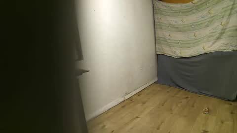 vpetkah online show from November 4, 2025, 6:01 am