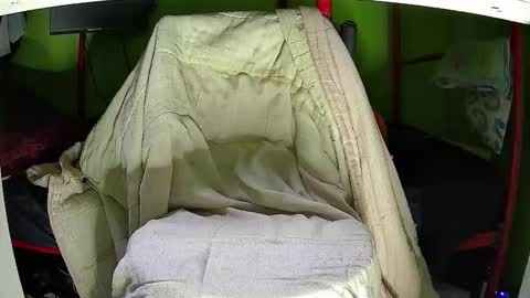 Kentaro online show from November 12, 2025, 5:30 am