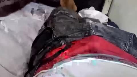 Snapshot of walt3rmex chatting on September 10, 2025, 10:54 pm walt3rmex online show from September 10, 2025, 10:54 pm