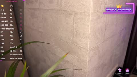 Snapshot of walt_enjoy chatting on February 1, 2025, 8:26 pm Walt Enjoy online show from February 1, 2025, 8:26 pm